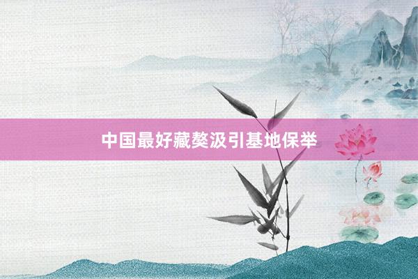 中国最好藏獒汲引基地保举