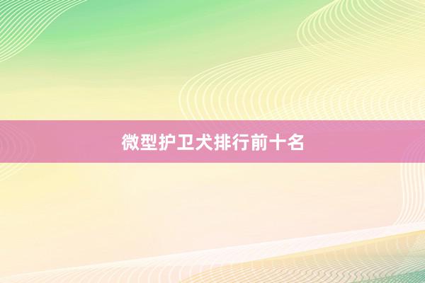 微型护卫犬排行前十名