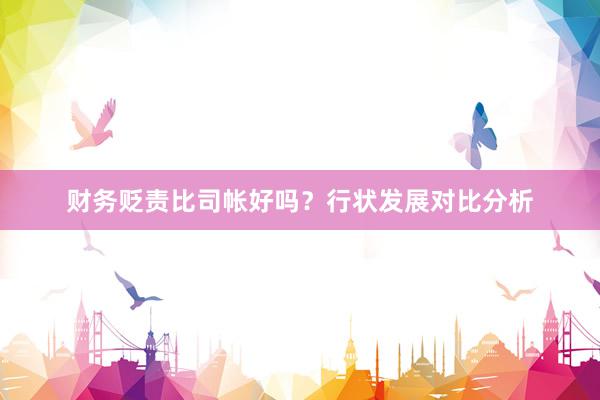 财务贬责比司帐好吗？行状发展对比分析